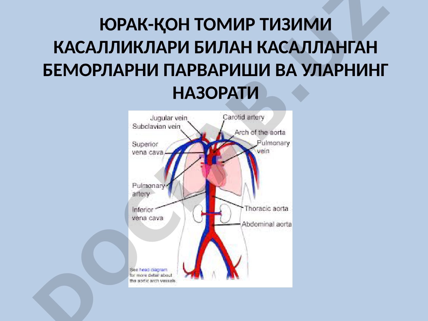 Юрак-қон томир тизими касалликлари билан касалланган беморларни парвариши ва уларнинг назорати