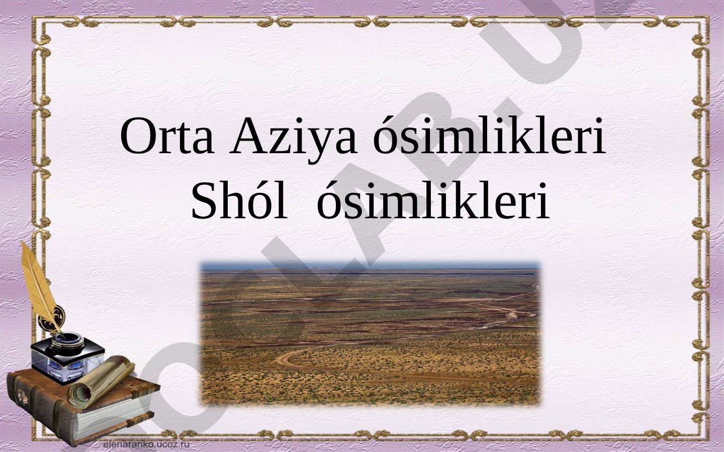 Orta Aziya shól ósimlikleri