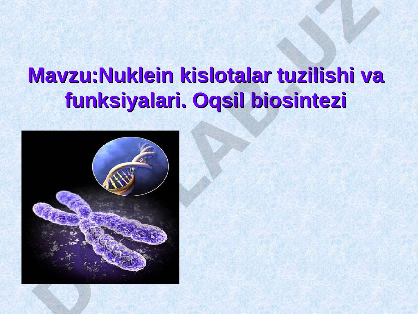 Nuklein kislotalar tuzilishi va funksiyalari. Oqsil biosintezi