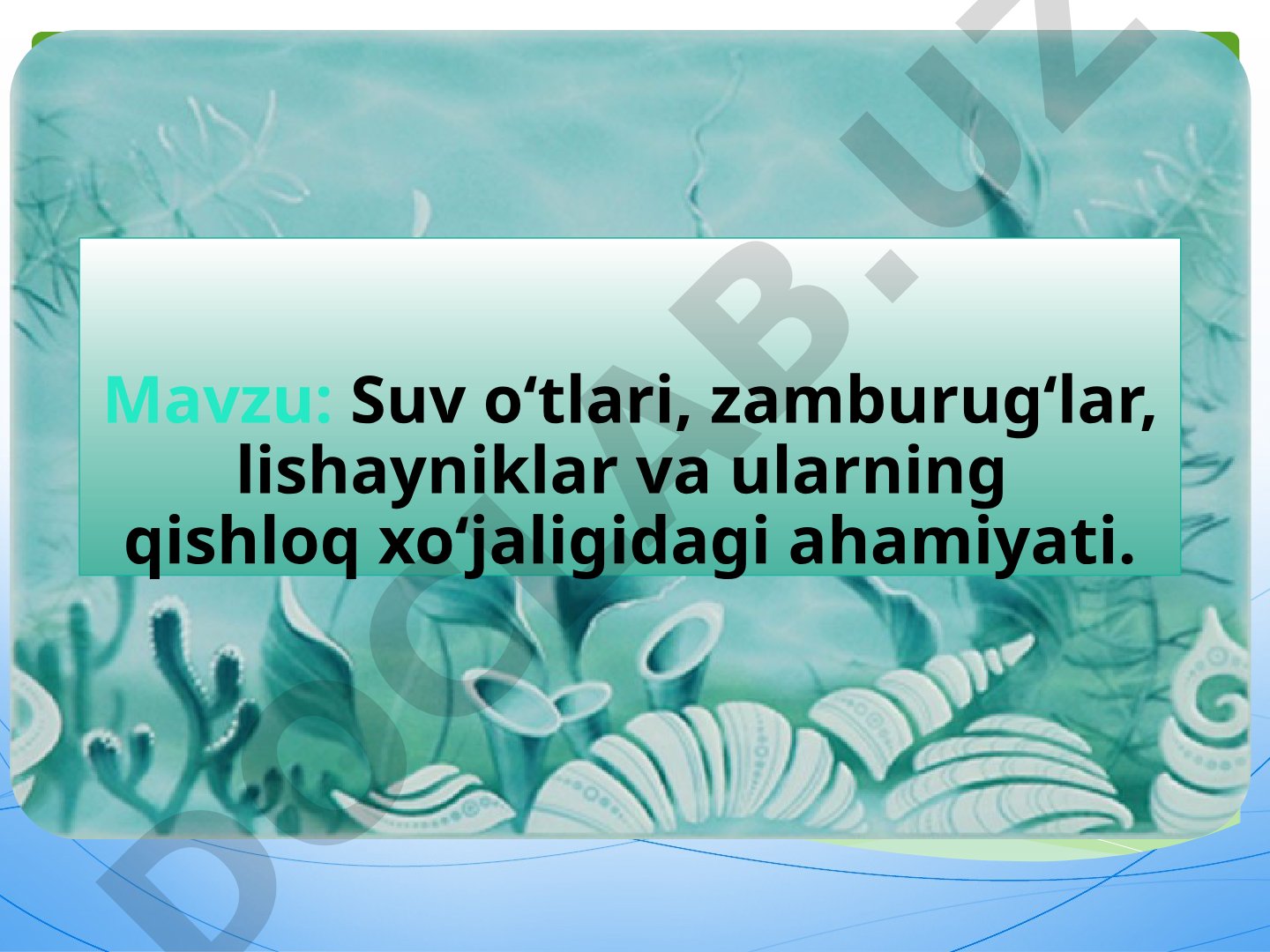 Suv o'tlari, zamburug'lar, lishayniklar va ularning qishloq xo'jaligidagi ahamiyati