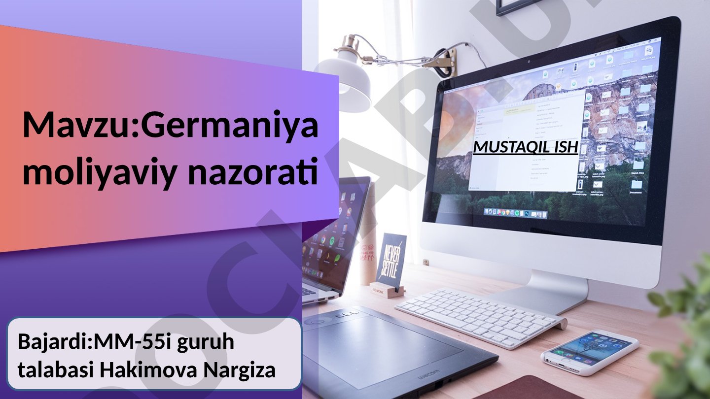 Germaniyada moliyaviy nazorat tizimi, Bundesbank va Yevropa Markaziy banki roli haqida