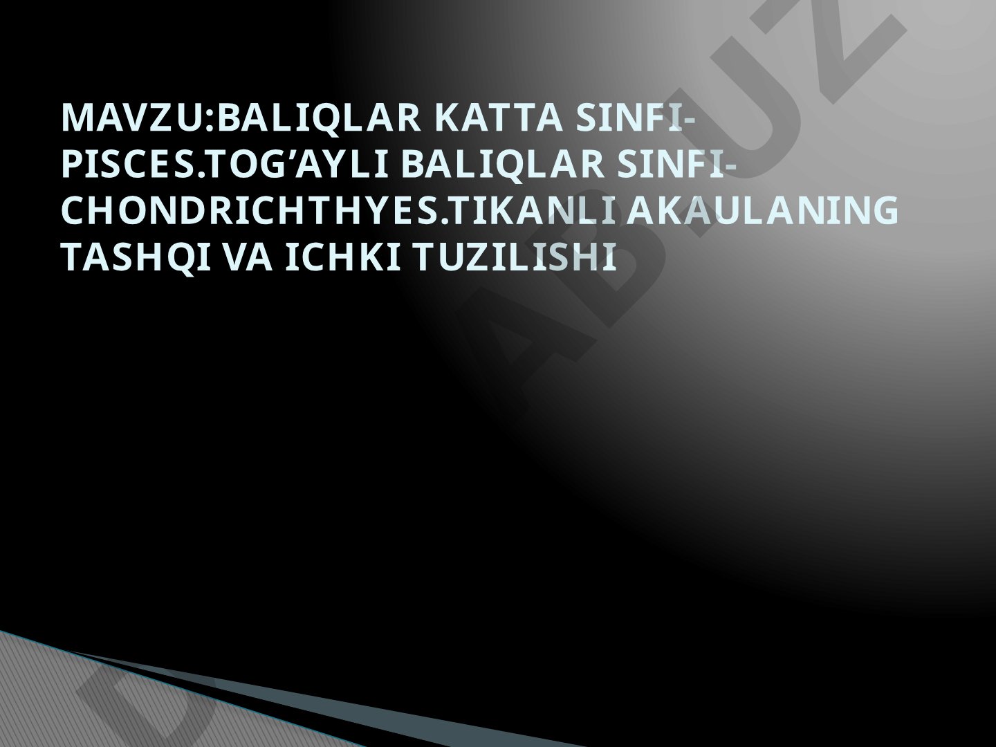 BALIQLAR KATTA SINFI-PISCES. TOG'AYLI BALIQLAR SINFI-CHONDRICHTHYES. TIKANLI AKAULANING TASHQI VA ICHKI TUZILISHI