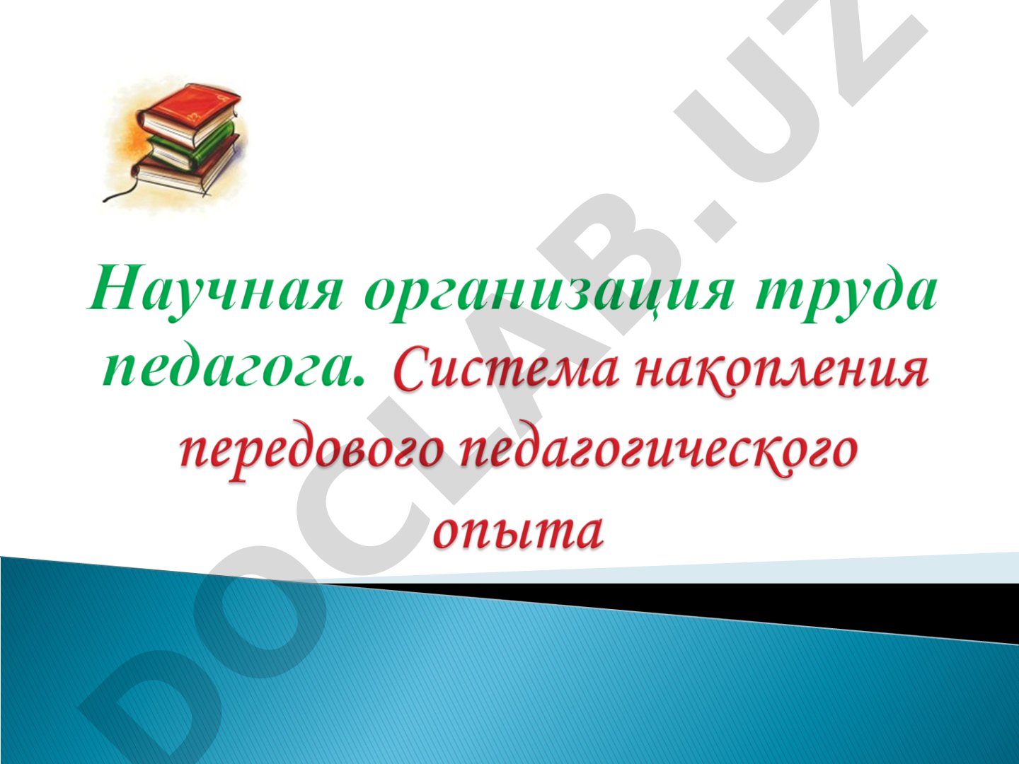 Сущность и принципы научной организации педагогического труда