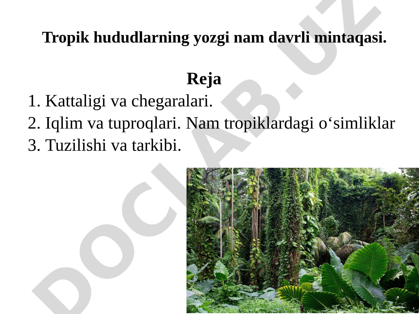 Tropik hududlarning yozgi nam davrli mintaqasi