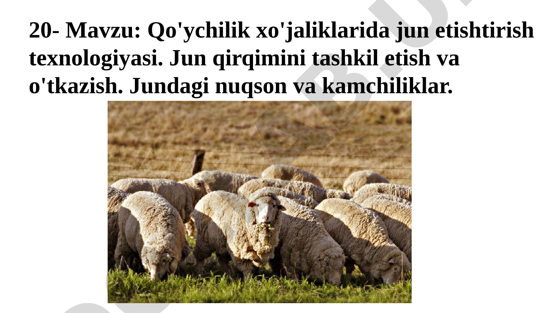 Qo'ychilik хo'jaliklarida jun etishtirish teхnologiyasi. Jun qirqimini tashkil etish va o'tkazish. Jundagi nuqson va kamchiliklar
