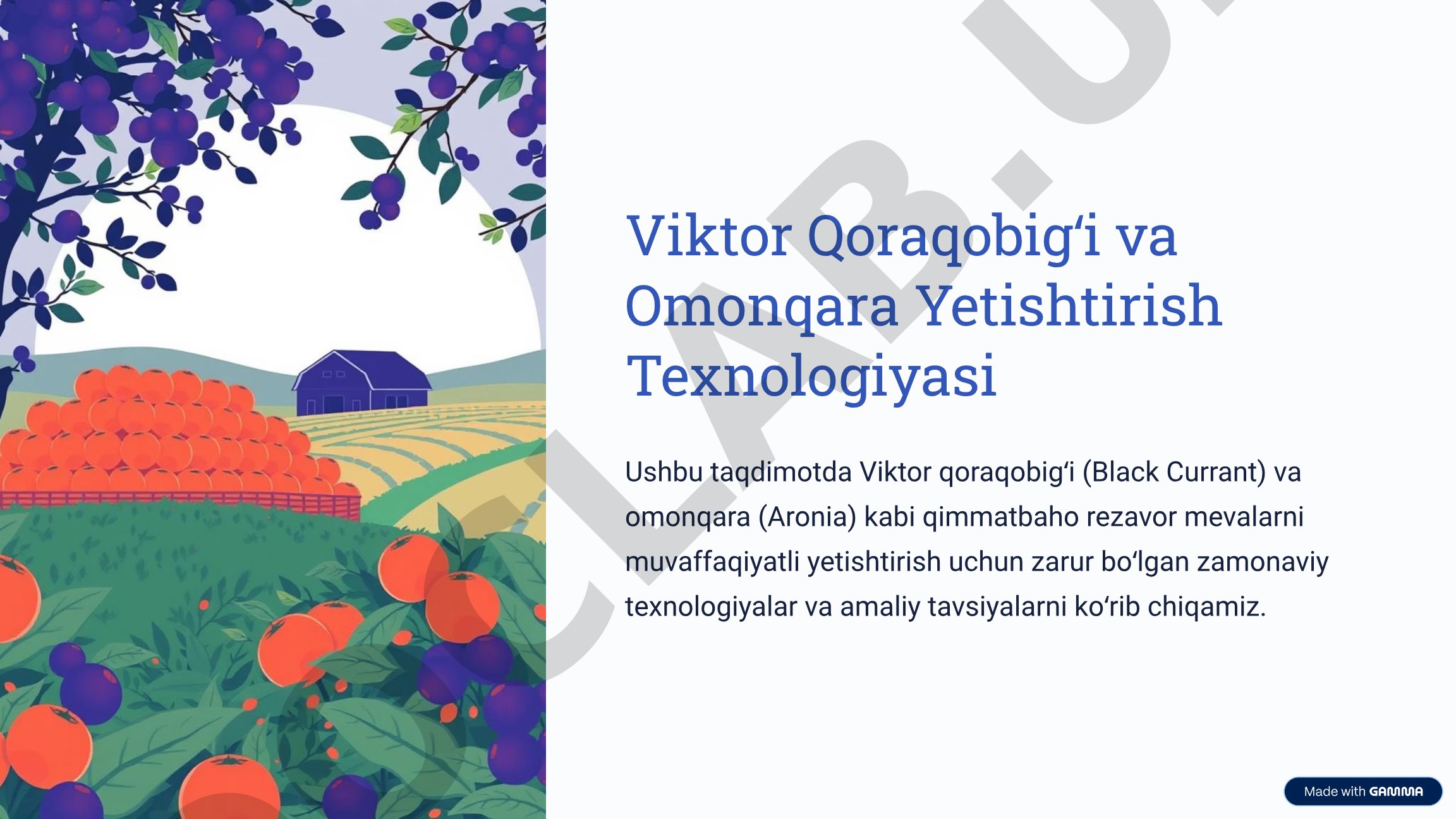 Viktor Qoraqobigʻi va Omonqara Yetishtirish Texnologiyasi