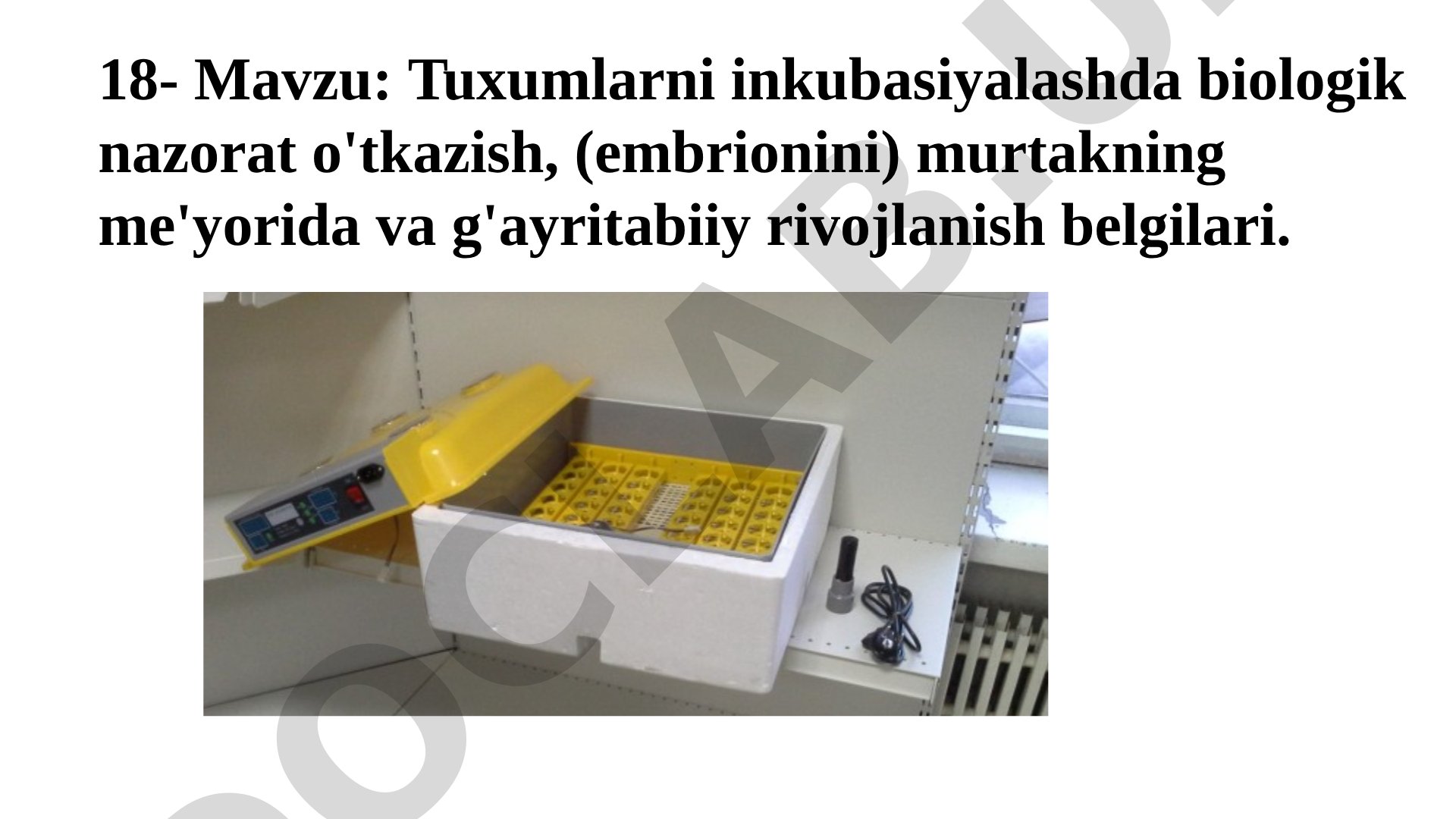 Tuхumlarni inkubasiyalashda biologik nazorat o'tkazish, (embrionini) murtakning me'yorida va g'ayritabiiy rivojlanish belgilari