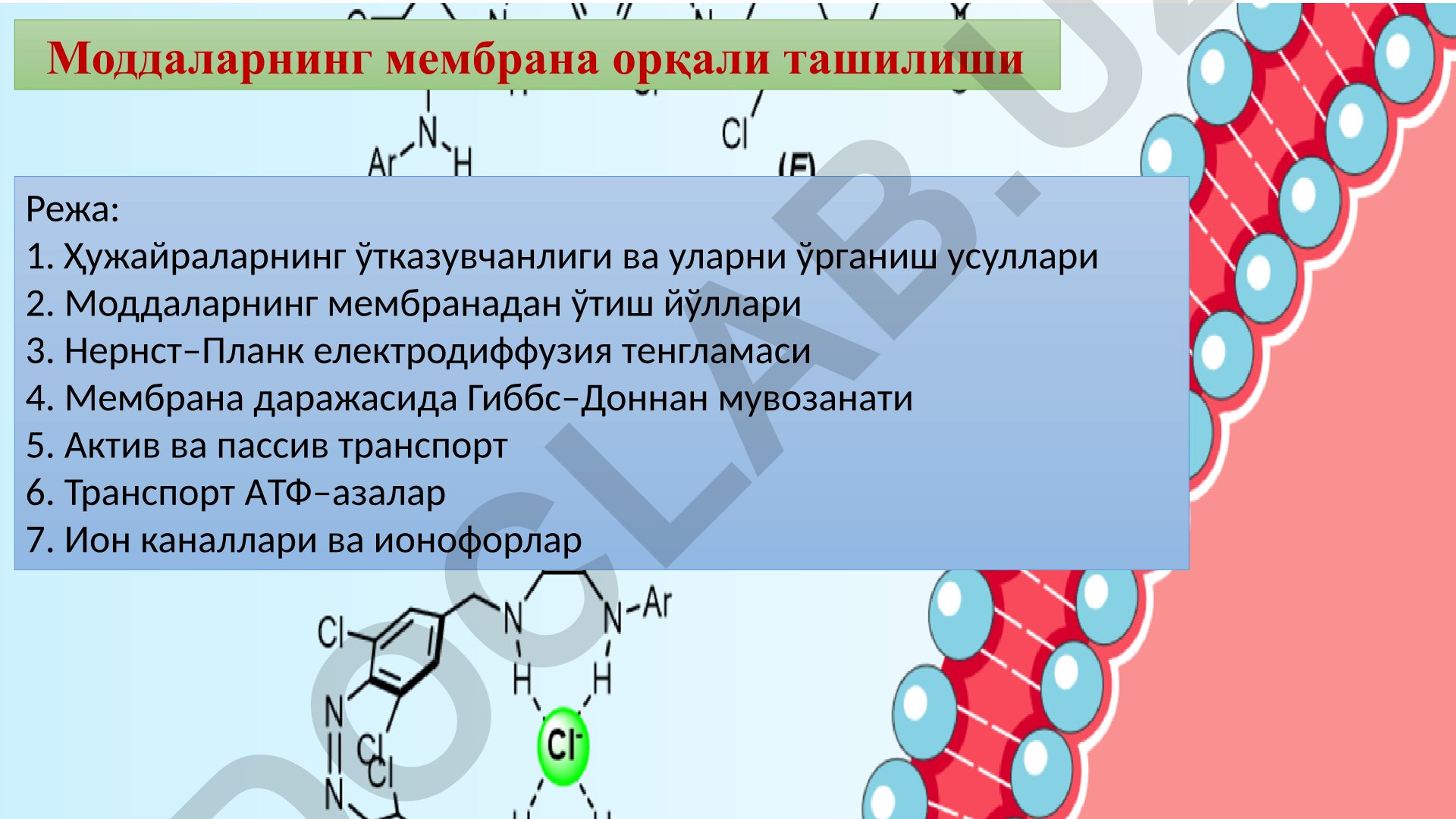 Ҳужайра мембраналари ва моддаларнинг ташилиш механизмлари