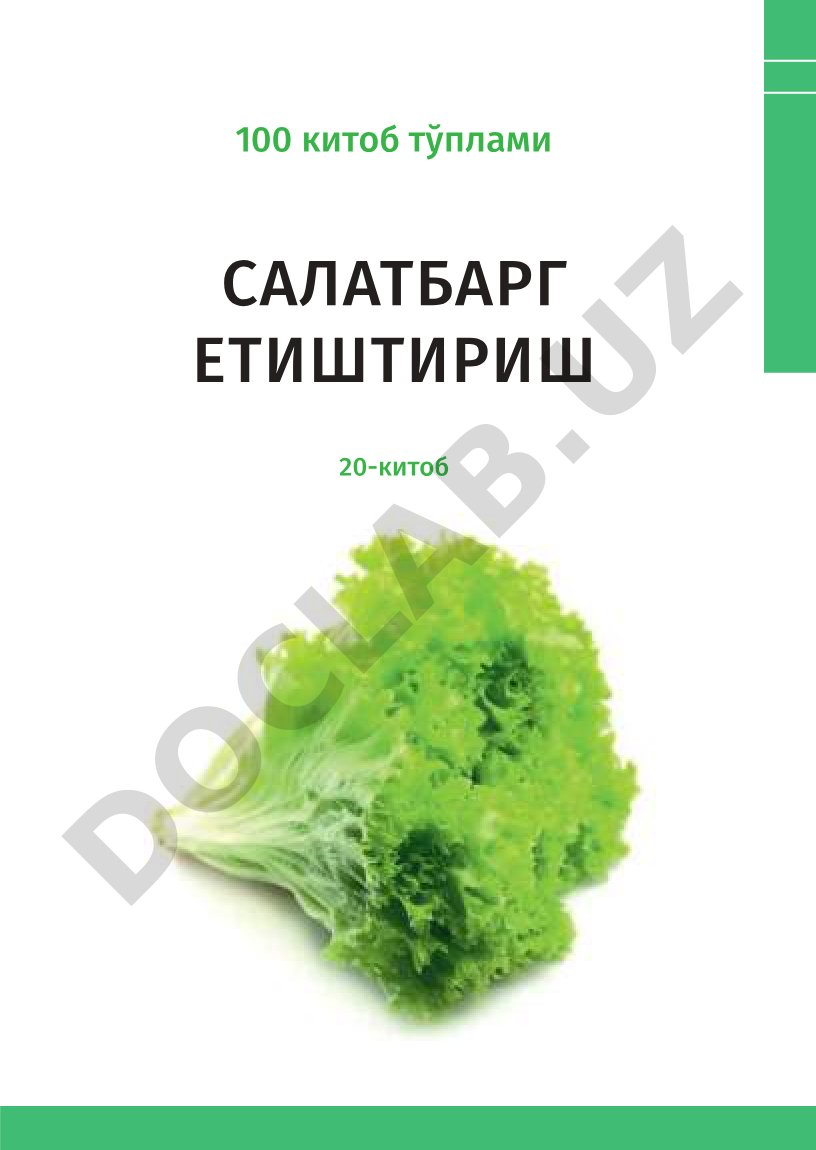 Салатбарг етиштириш