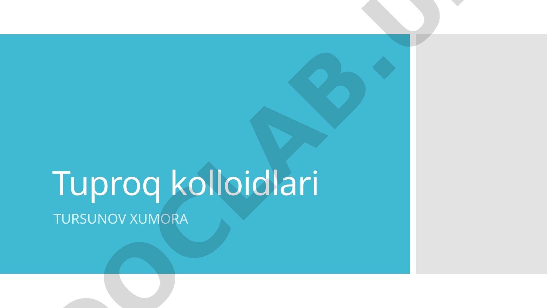 Tuproq kolloidlari
