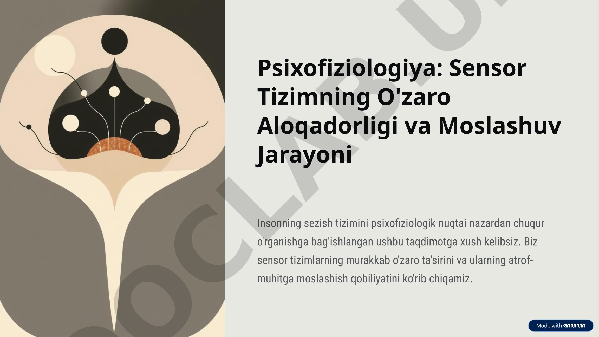 Psixofiziologiya: Sensor Tizimning O'zaro Aloqadorligi va Moslashuv Jarayoni