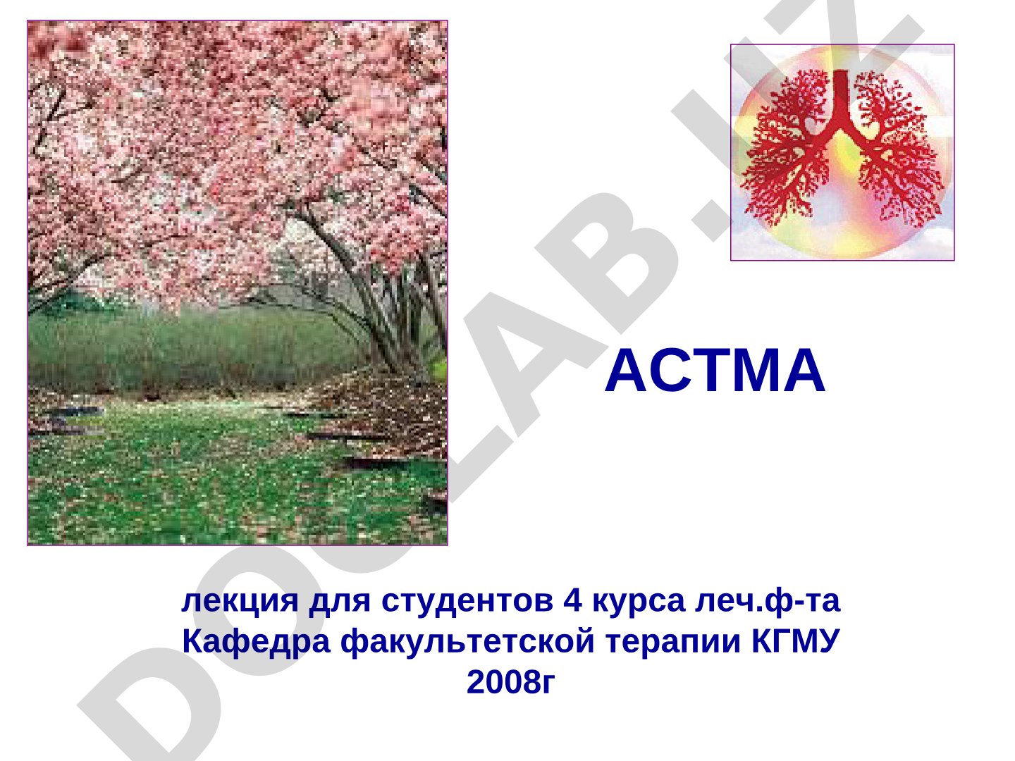 Бронхиальная астма: лекция для студентов 4 курса