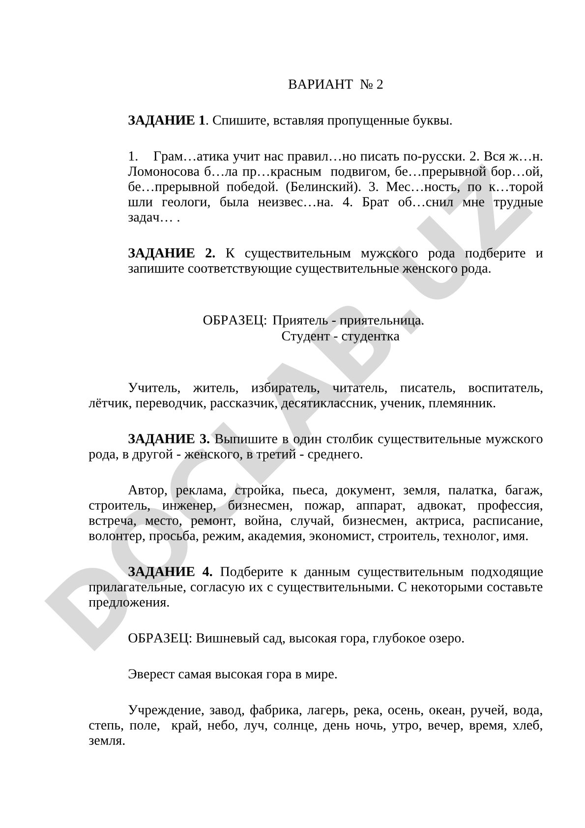 Русский язык: грамматические упражнения