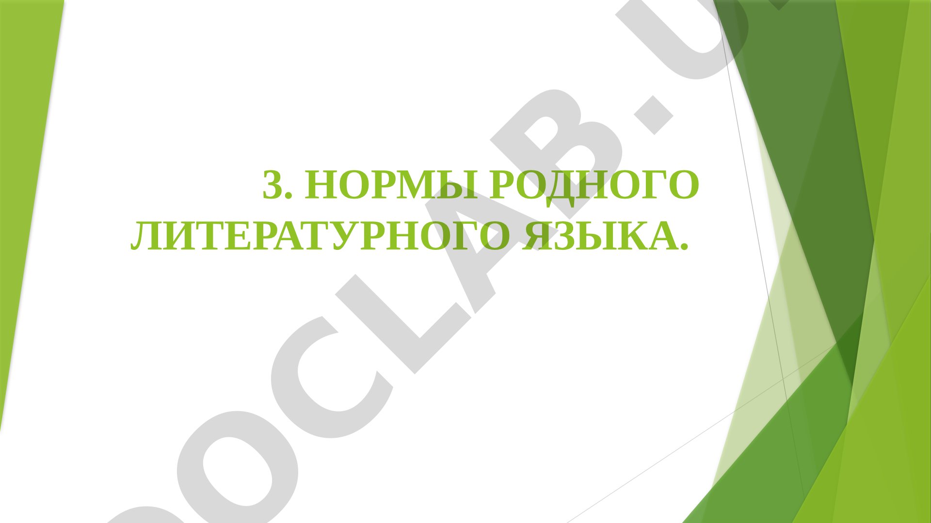 Нормы родного литературного языка