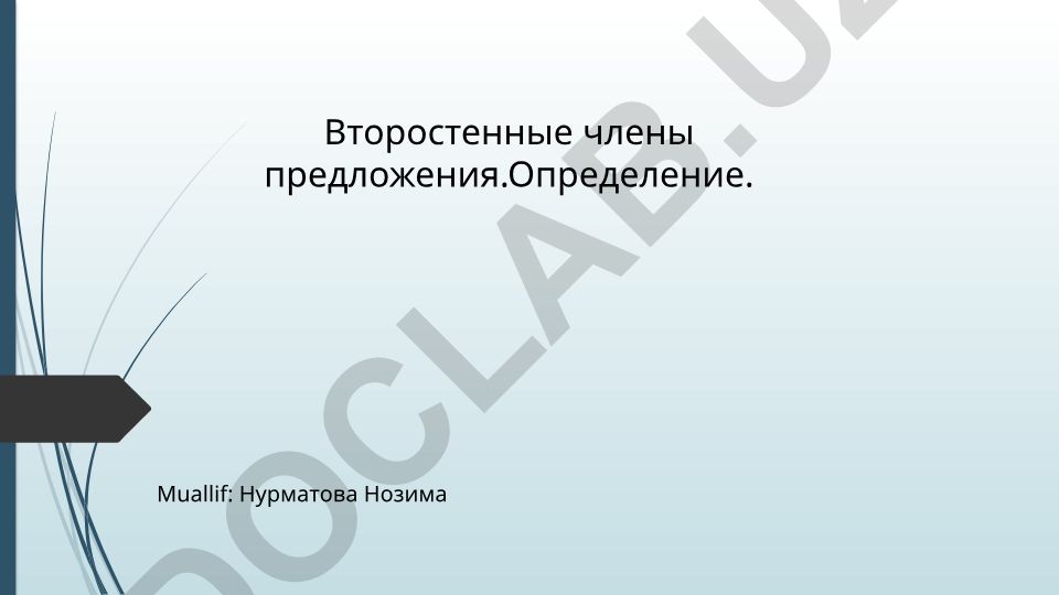 Второстепенные члены предложения: определение, виды и примеры