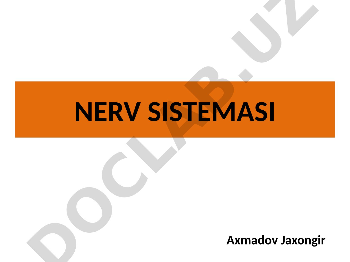 Nerv sistemasining anatomik va funksional klassifikatsiyasi
