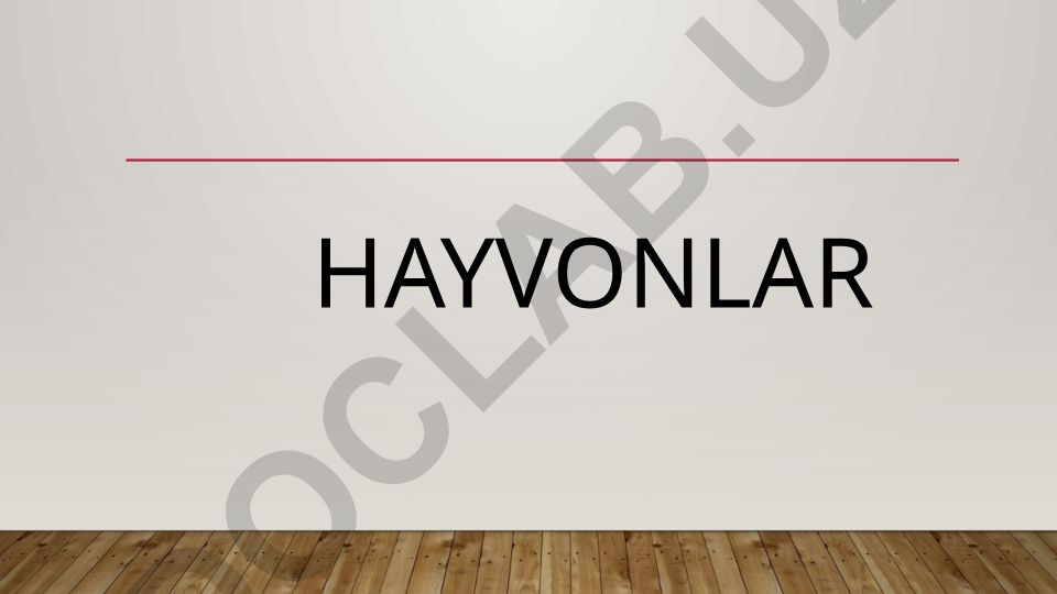 Mushuklar: turlari, xususiyatlari va hayot tarzi