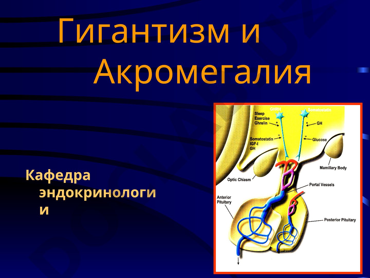 Гигантизм и Акромегалия