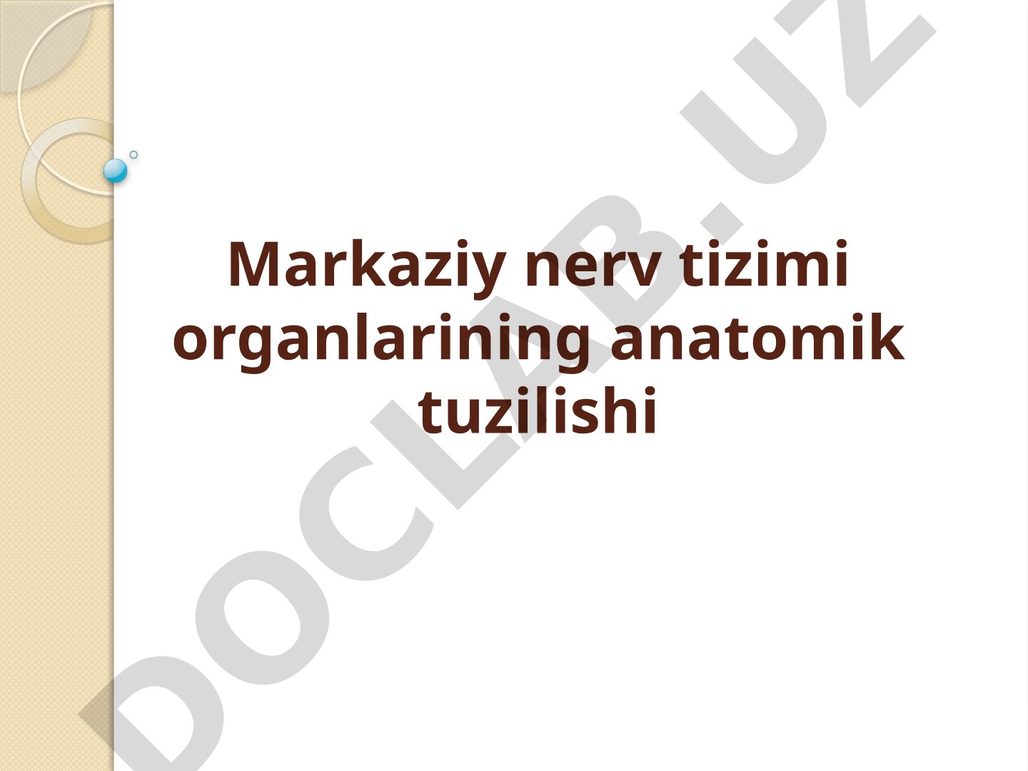 Markaziy nerv tizimi organlarining anatomik tuzilishi