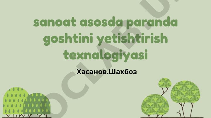 Sanoat asosida paranda goʻshtini yetishtirish texnologiyasi