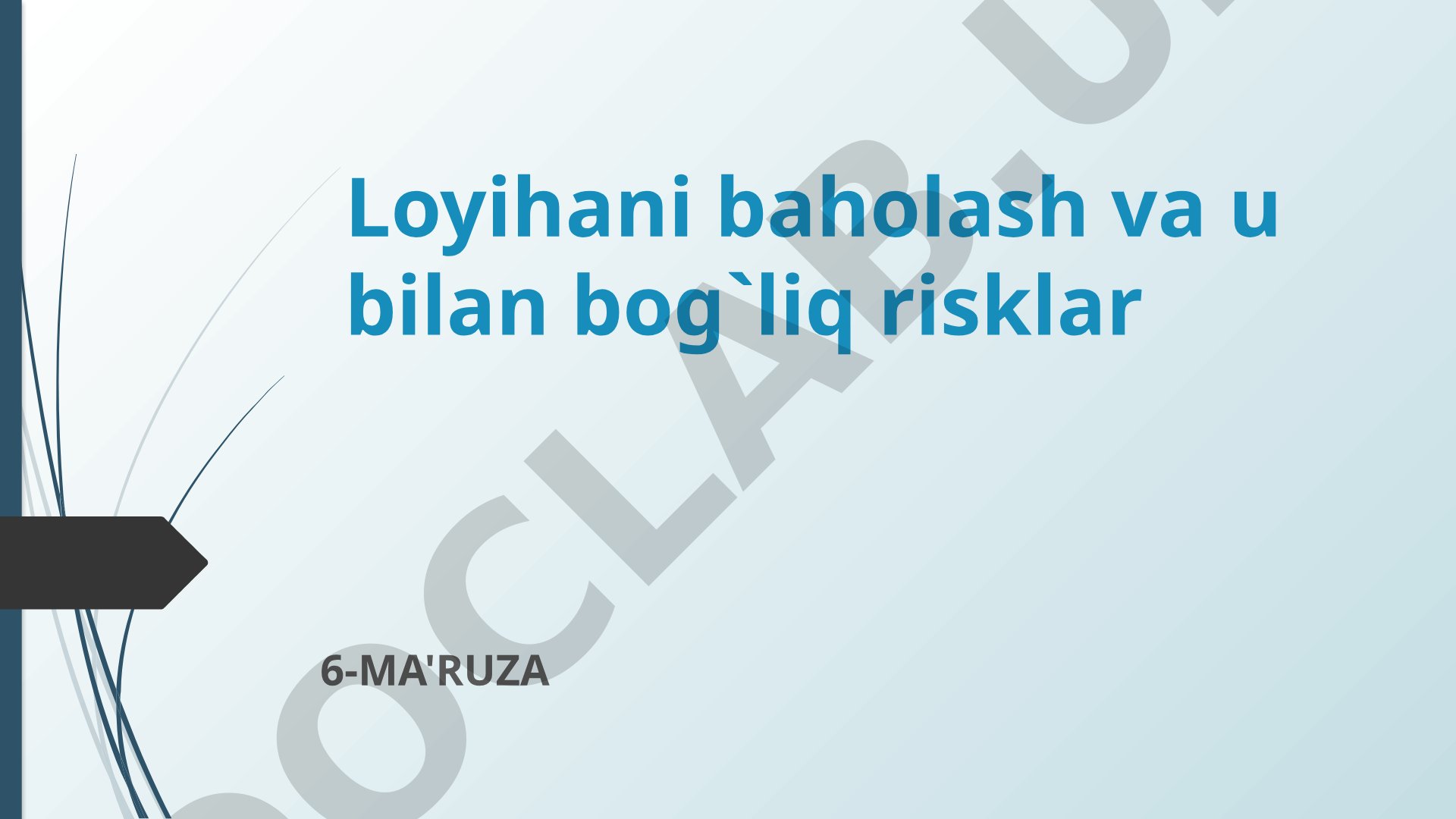 Loyihani baholash va u bilan bog`liq risklar 6-MA'RUZA