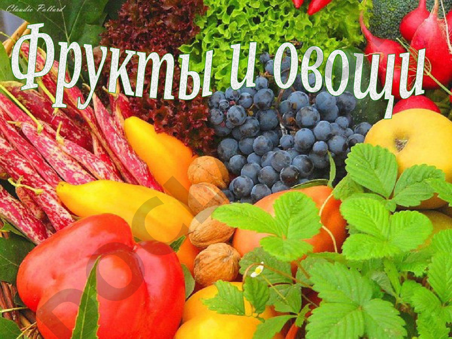Фрукты и овощи: отличия, польза, витамины