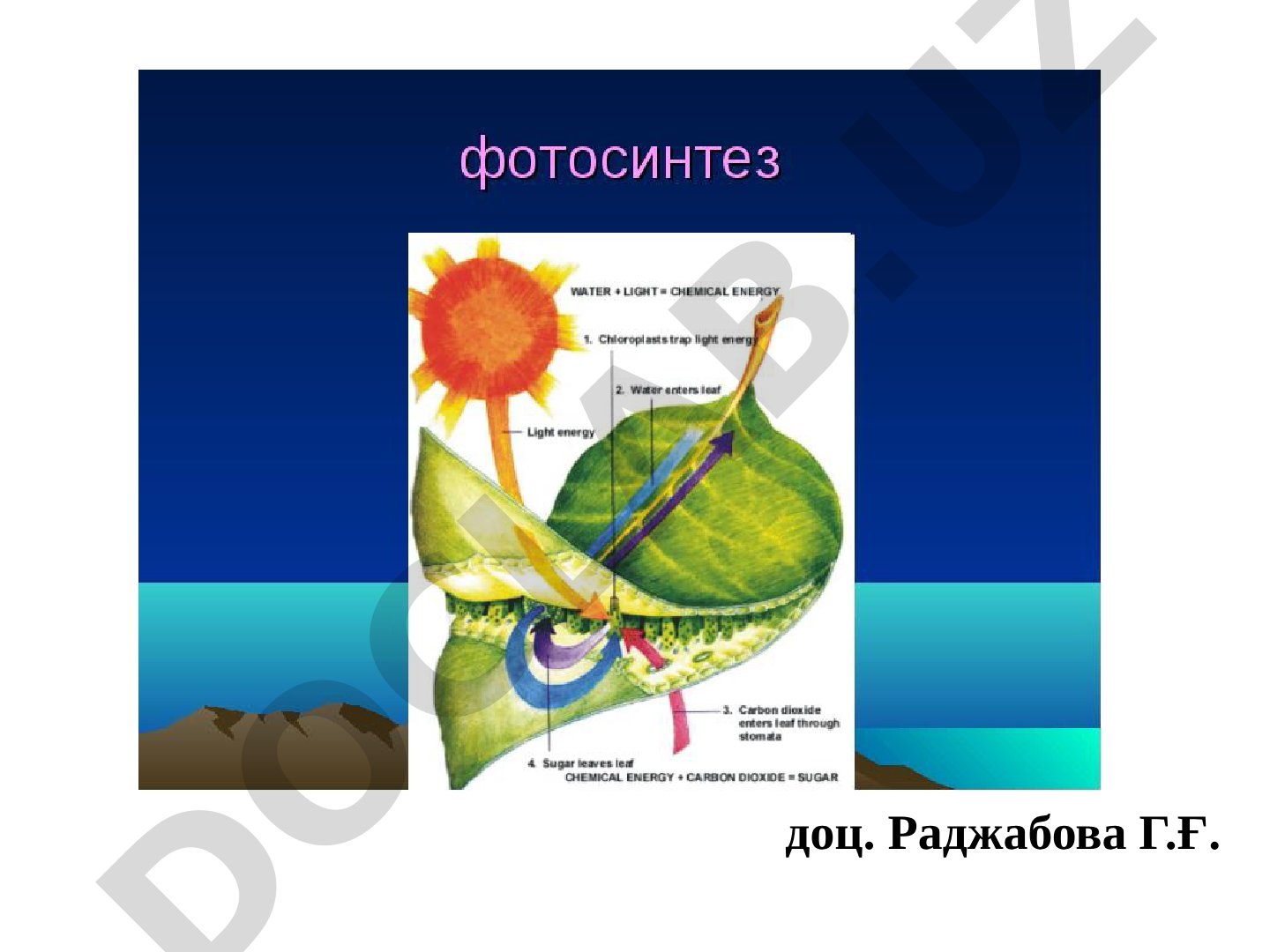 Retseptsiya biofizikasi