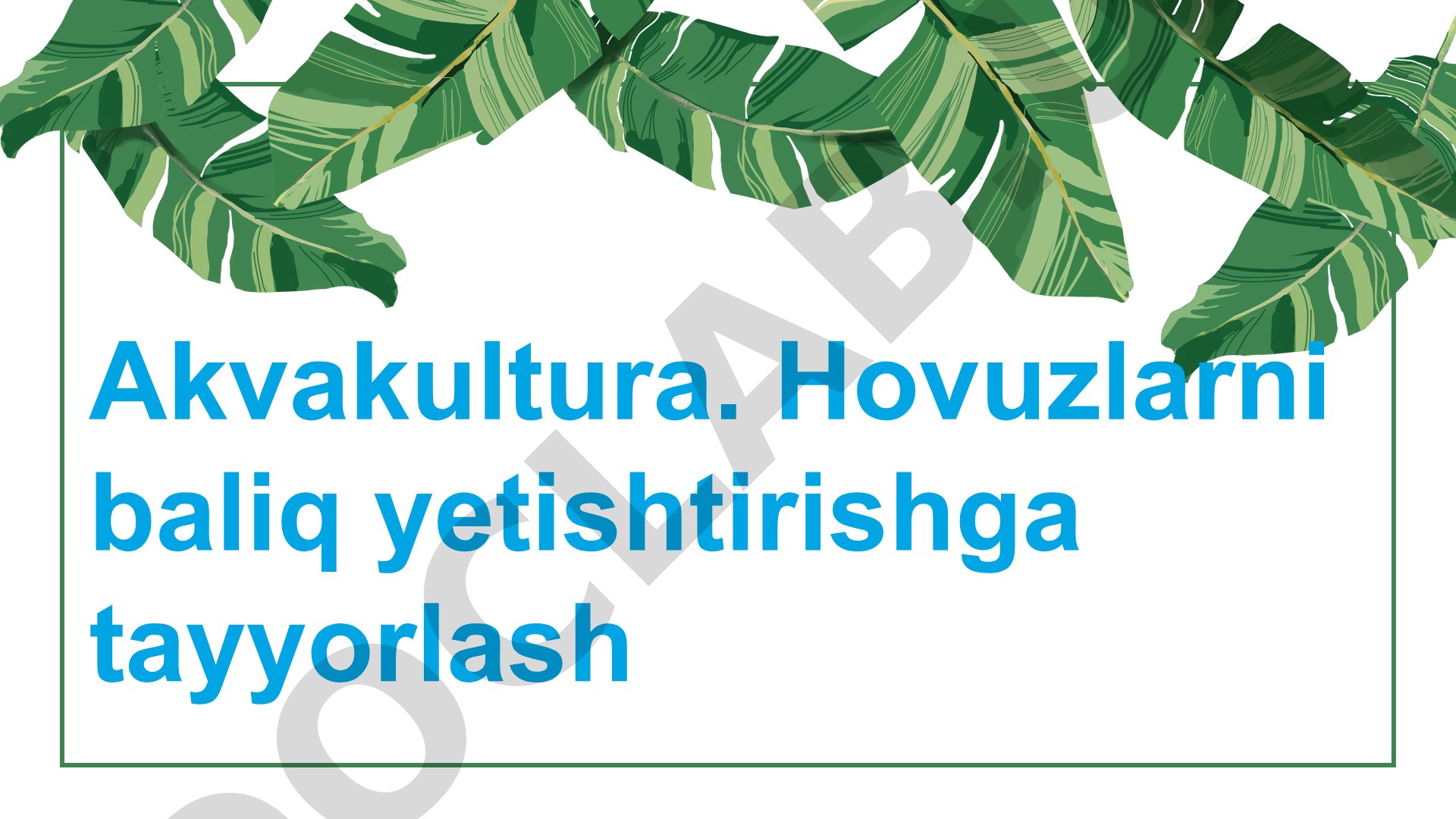 Akvakultura. Hovuzlarni baliq yetishtirishga tayyorlash