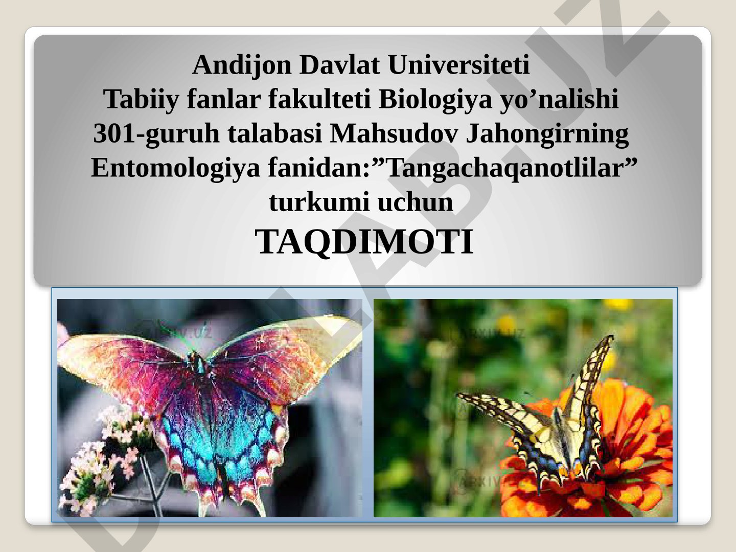 Tangachaqanotlilar turkumining kelib chiqishi, morfologiyasi, biologiyasi va qiziqarli