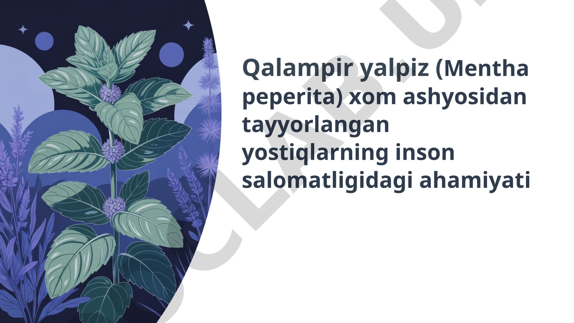 Qalampir yalpiz (Mentha peperita) xom ashyosidan tayyorlangan yostiqlarning inson salomatligidagi ahamiyati