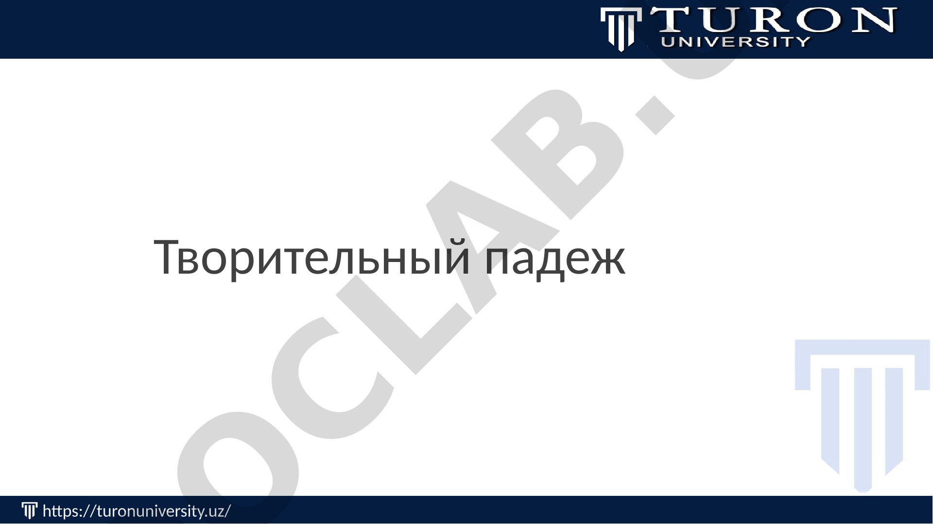 Творительный падеж в русском языке