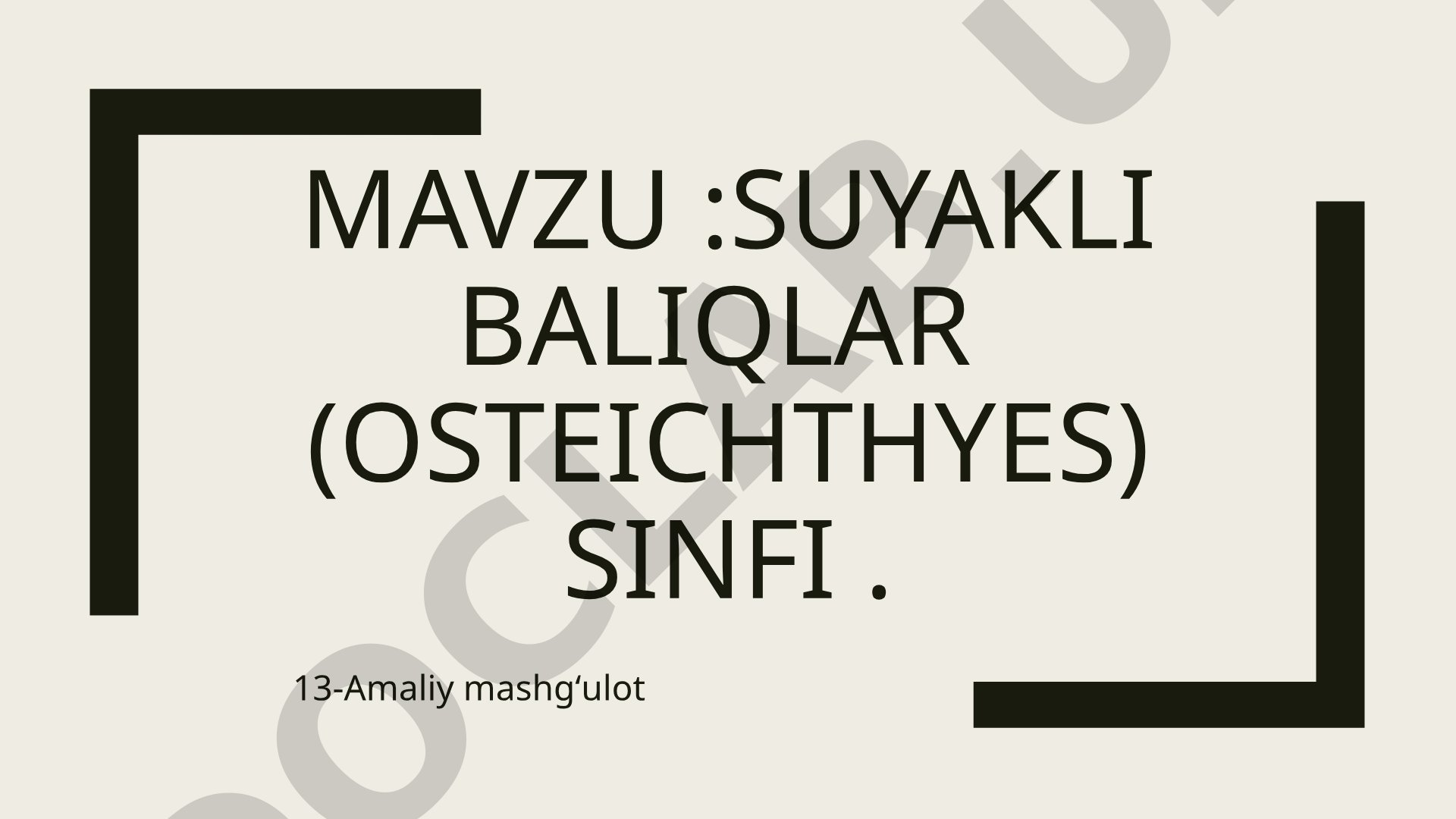 Suyakli baliqlar (OSTEICHTHYES) sinfi. 13-Amaliy mashgʻulot
