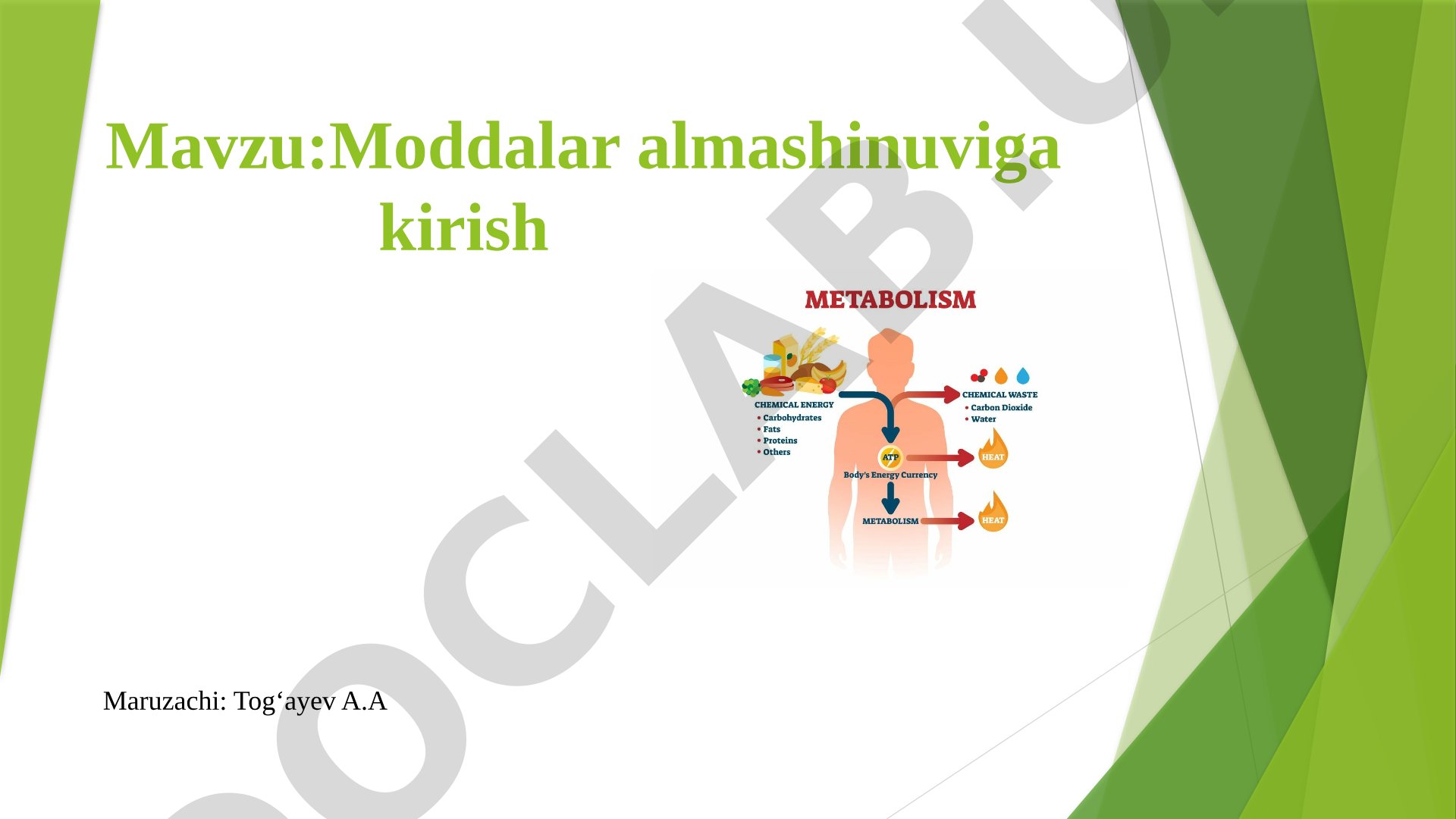 Moddalar almashinuviga kirish