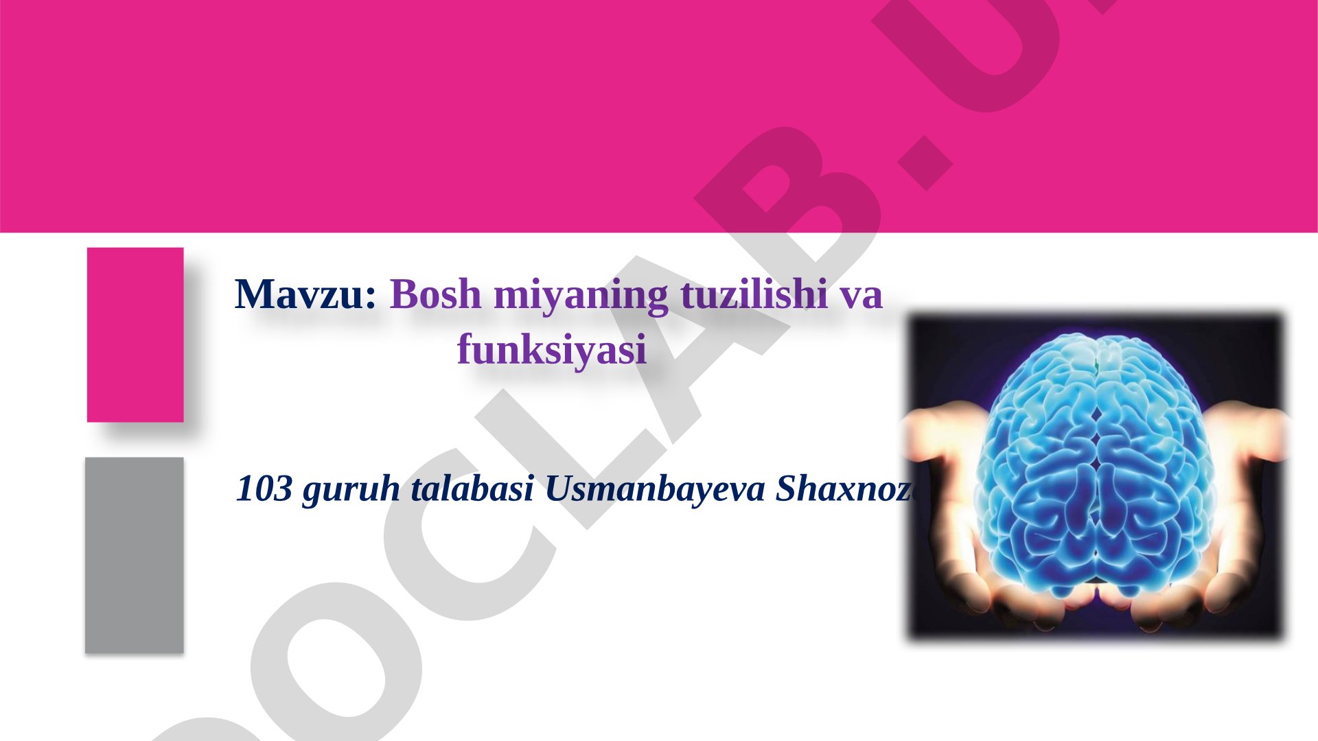 Bosh miyaning tuzilishi va funksiyasi