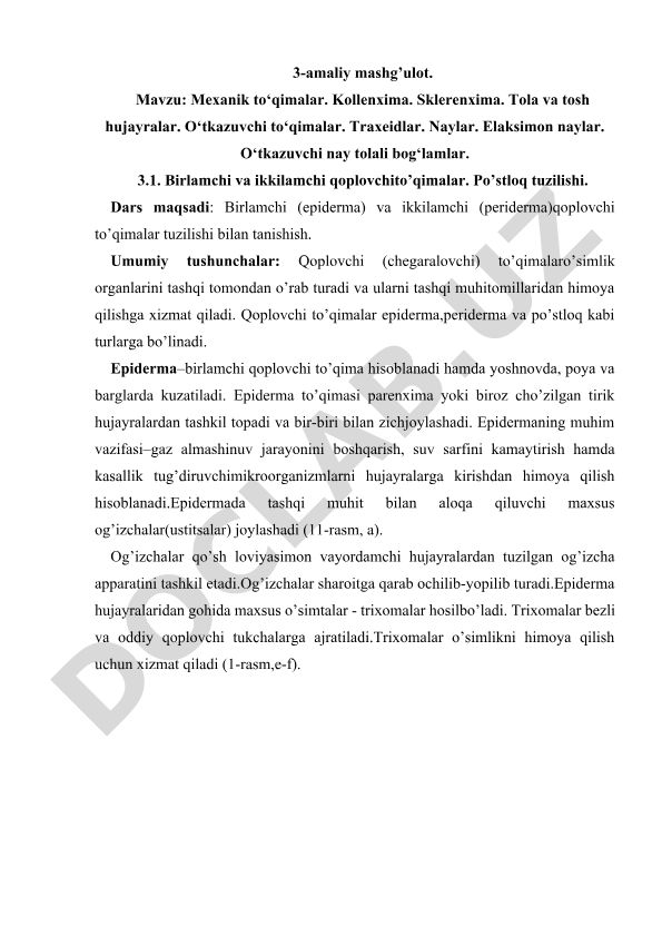Mexanik to‘qimalar va o‘tkazuvchi to‘qimalar