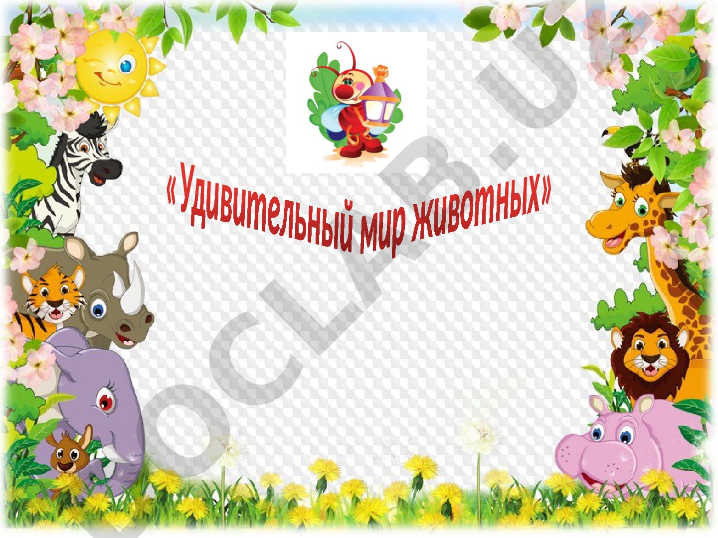 Удивительный мир животных