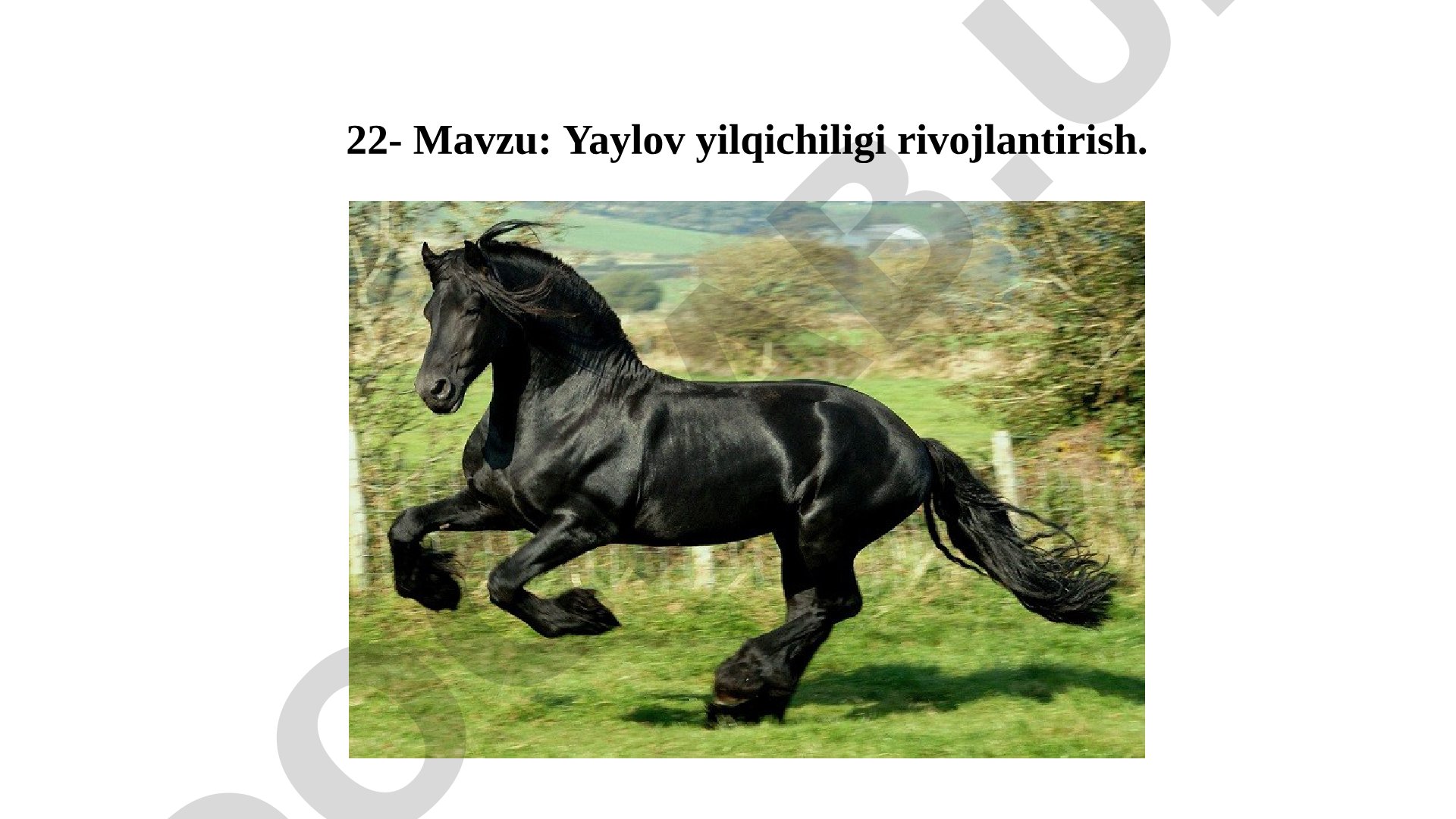 Yaylov yilqichiligi rivojlantirish
