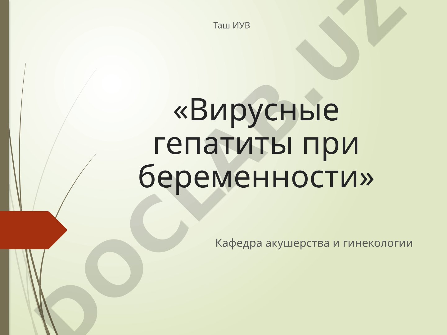 Вирусные гепатиты при беременности
