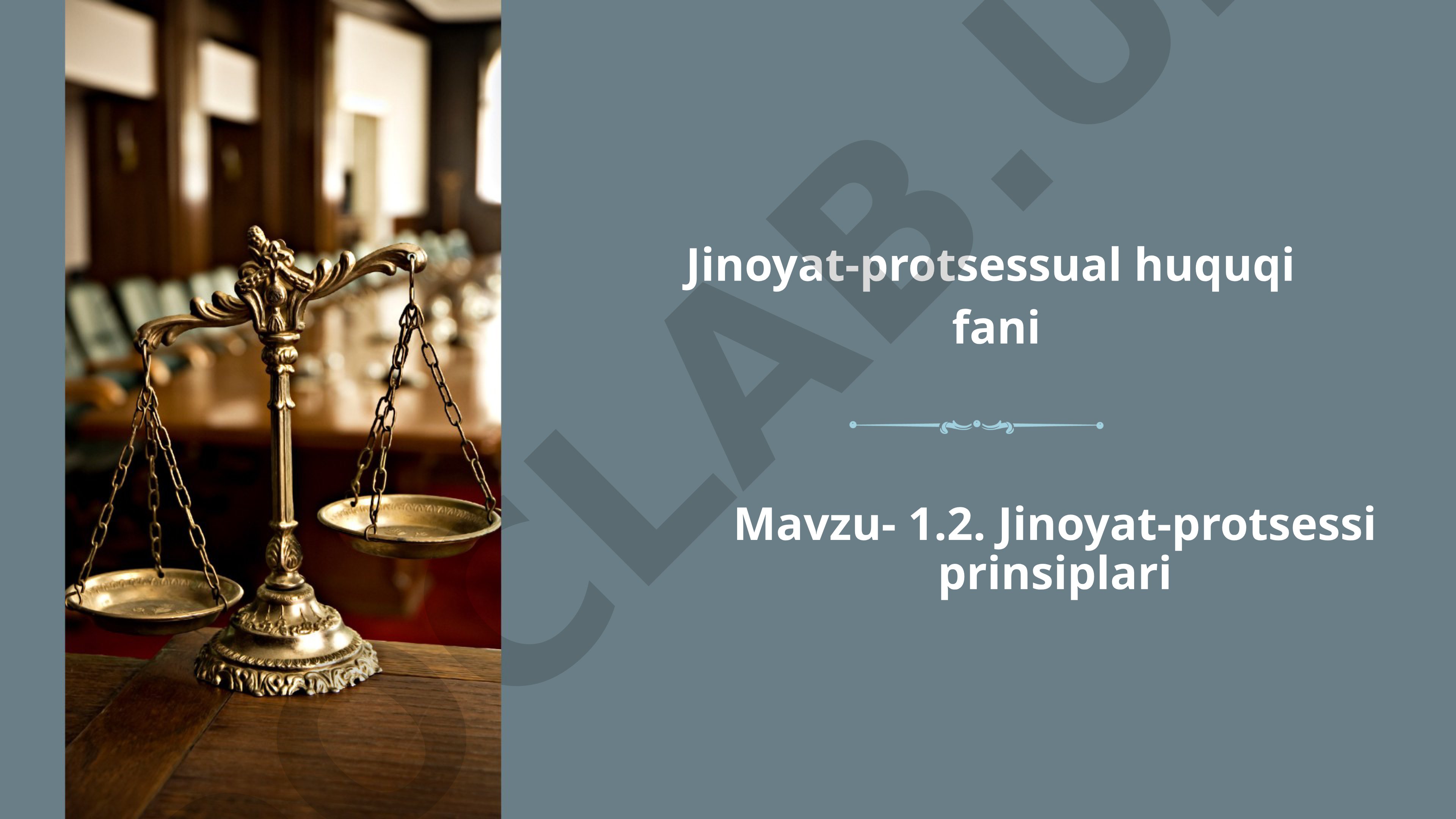 Jinoyat-protsessi prinsiplari