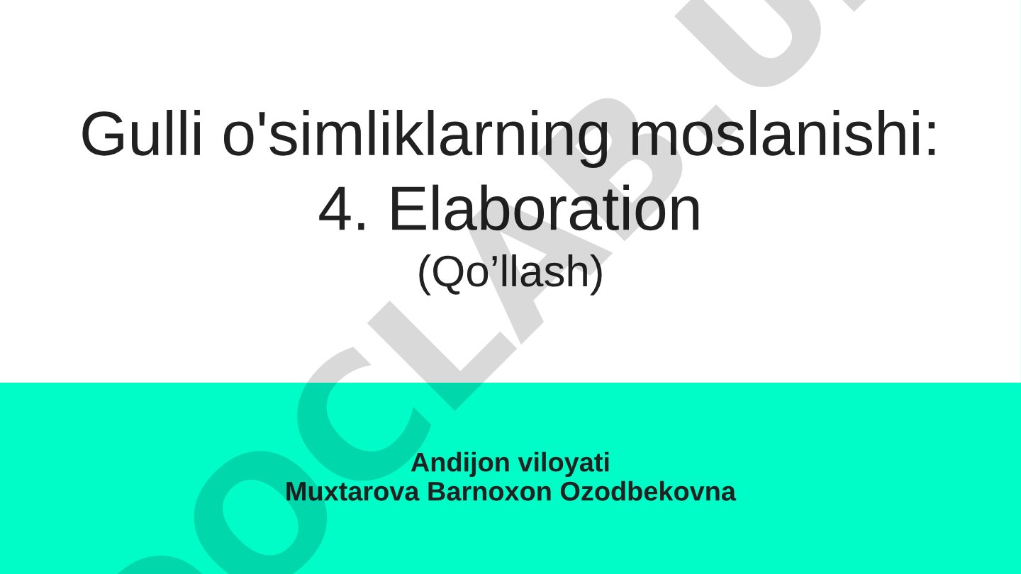 Gulli o'simliklarning moslanishi