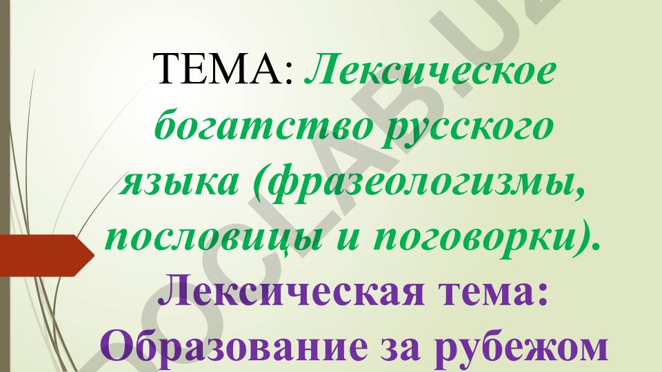 Лексическое богатство русского языка и образование за рубежом