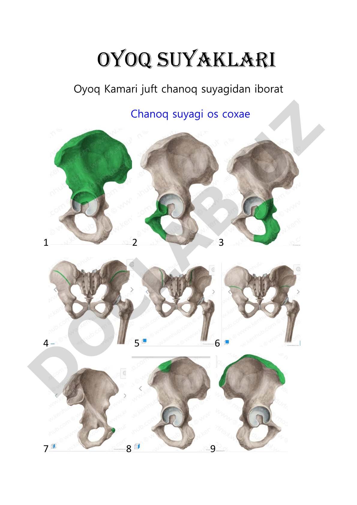 Oyoq suyaklari