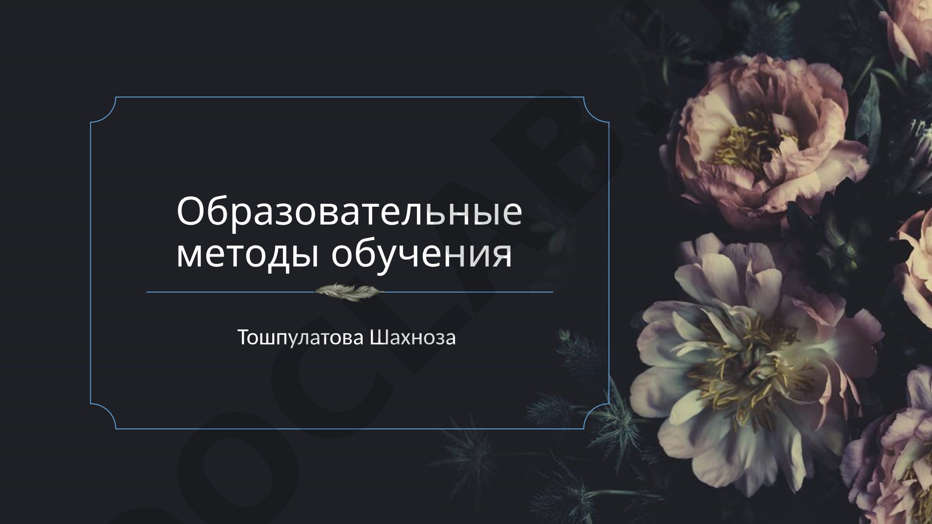 Образовательные методы обучения