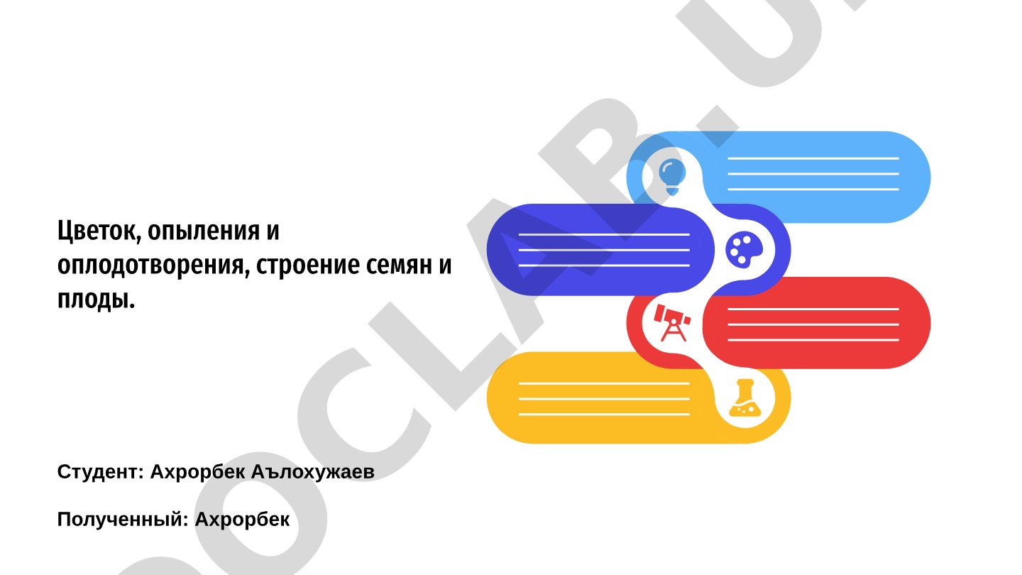 Цветок, опыления и оплодотворения, строение семян и плоды