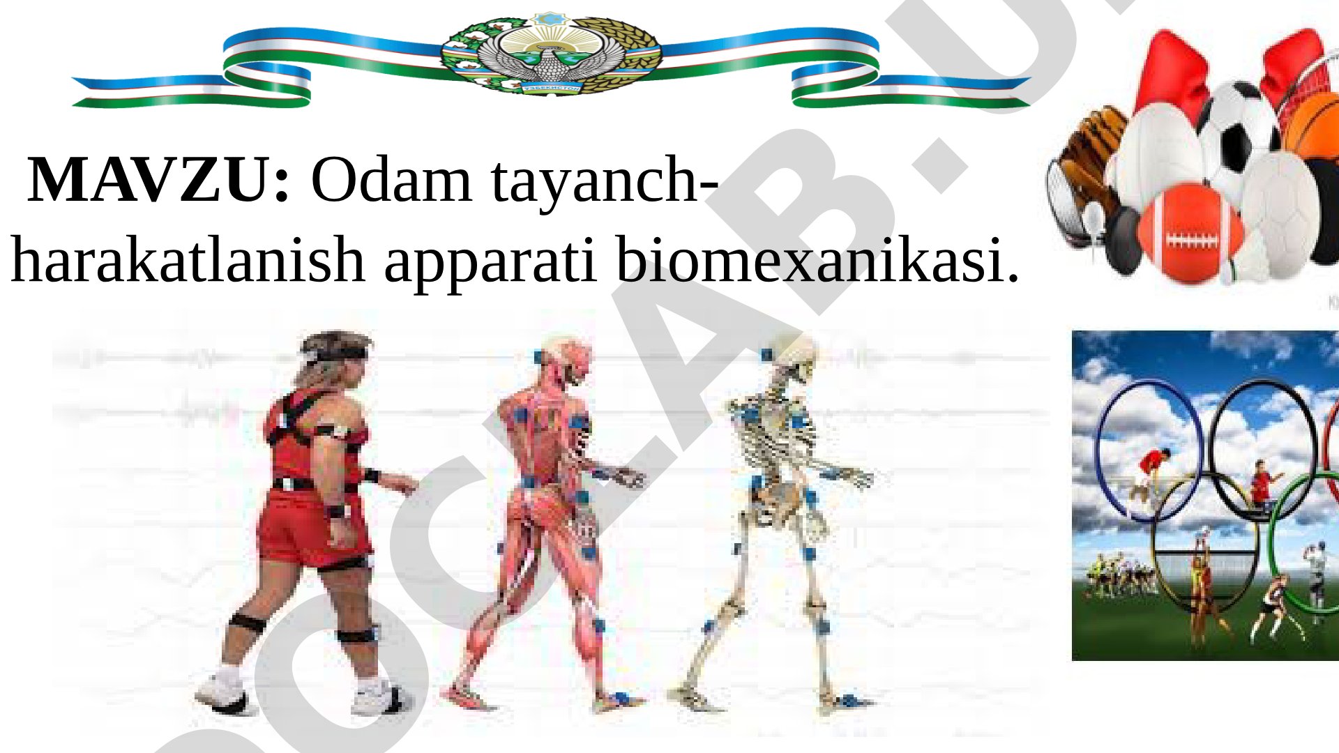 Odam tayanch-harakatlanish apparati biomexanikasi