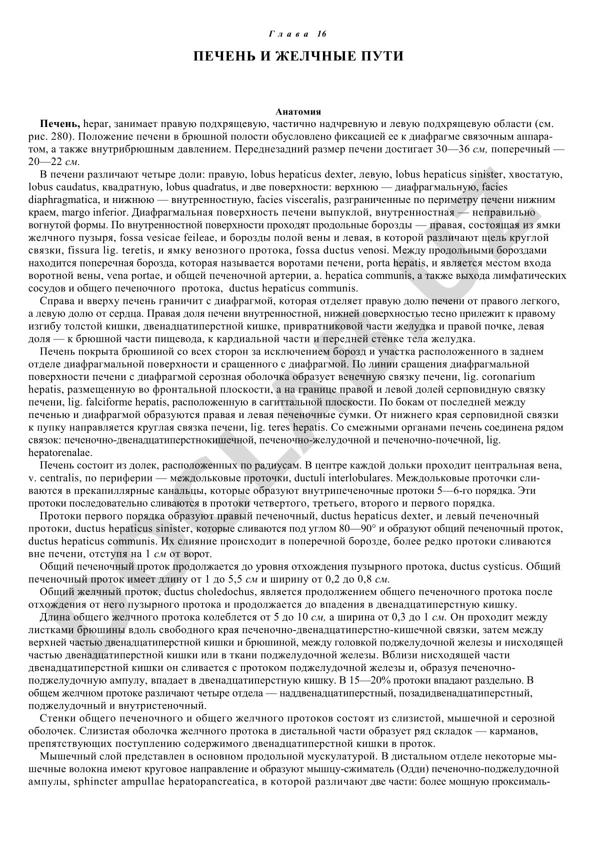 Строение печени: доли, поверхности, края, связки, ворота, сосуды и желчные протоки