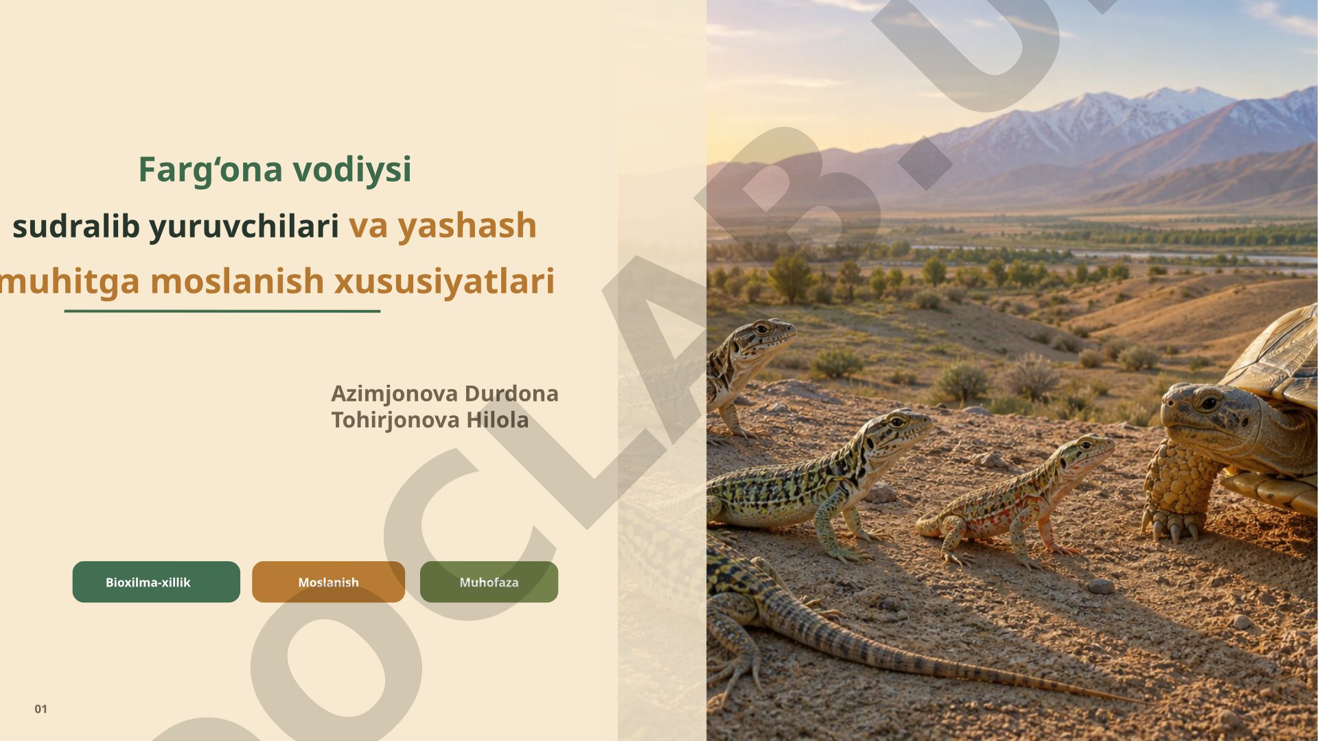 Farg‘ona vodiysi sudralib yuruvchilari va yashash muhitga moslanish xususiyatlari