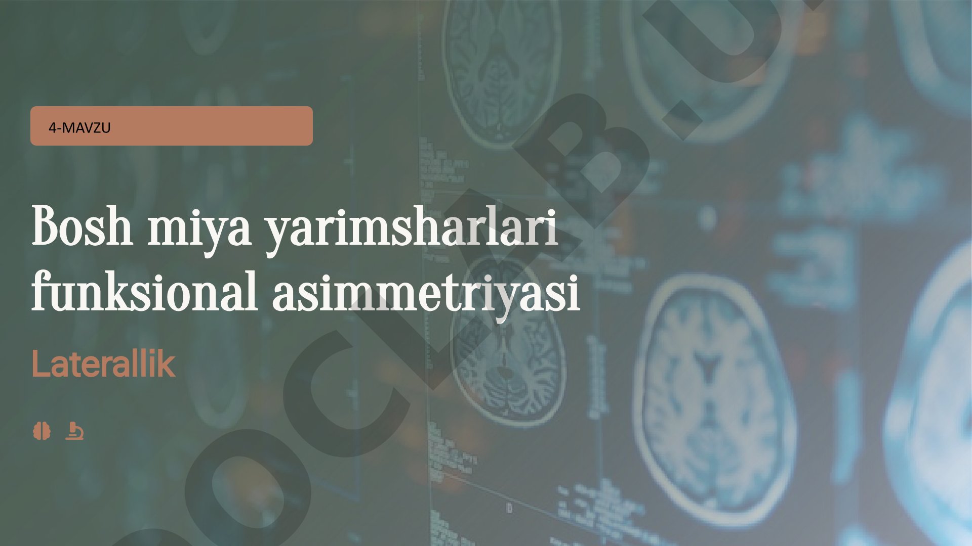 Bosh miya yarimsharlari funksional asimmetriyasi