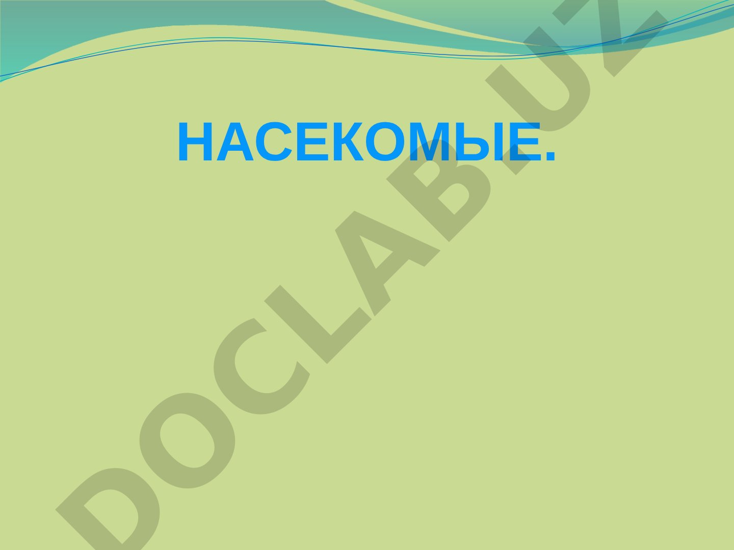 Насекомые леса и луга