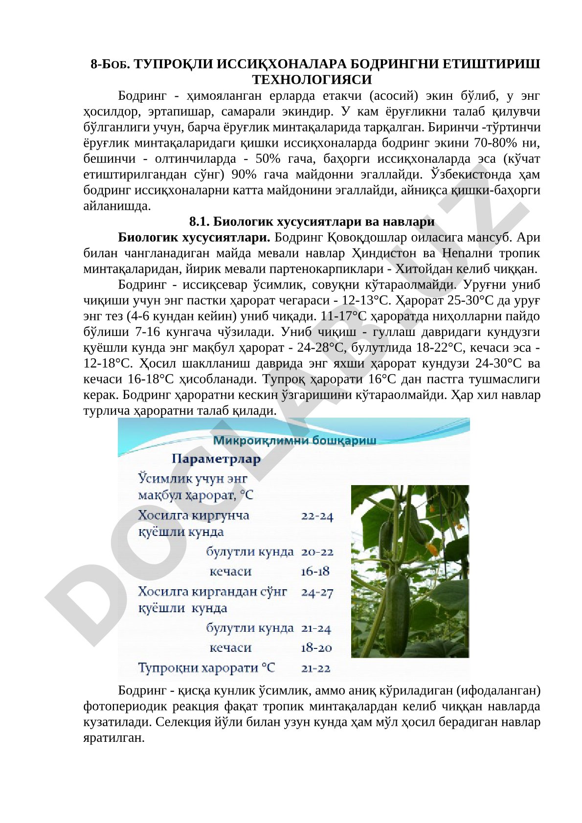 Тупроқли иссиқхоналара бодрингни етиштириш технологияси
